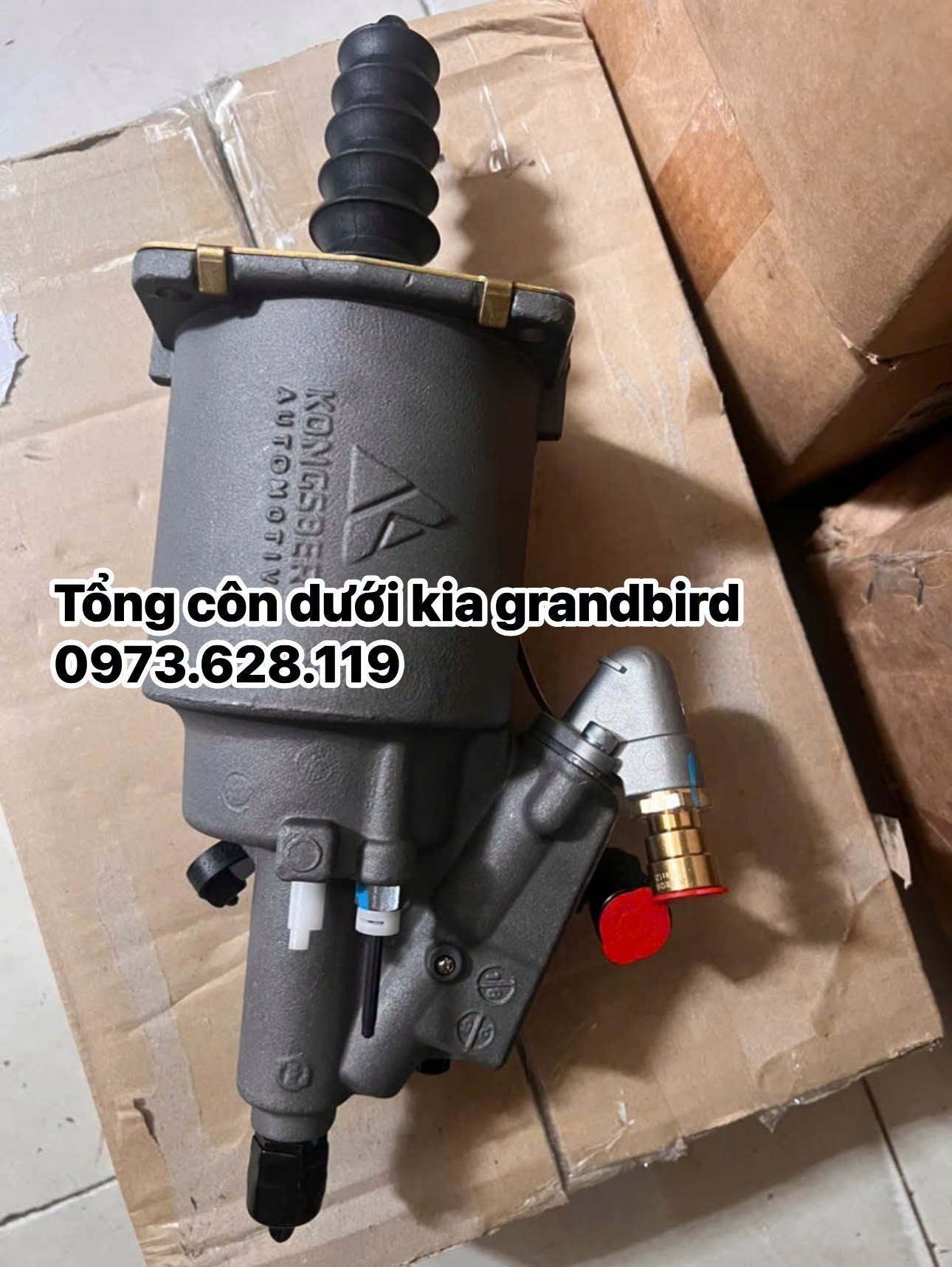 Tổng côn dưới kia grandbird